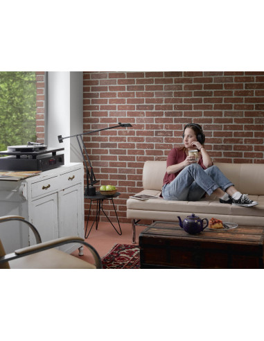 Amplificador con DAC Digital Híbrido NAD C 368