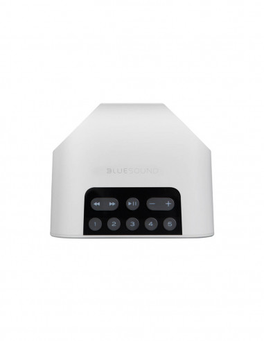 Altavoz inalámbrico portátil de transmisión de música multiroom Bluesound Pulse Flex 2i