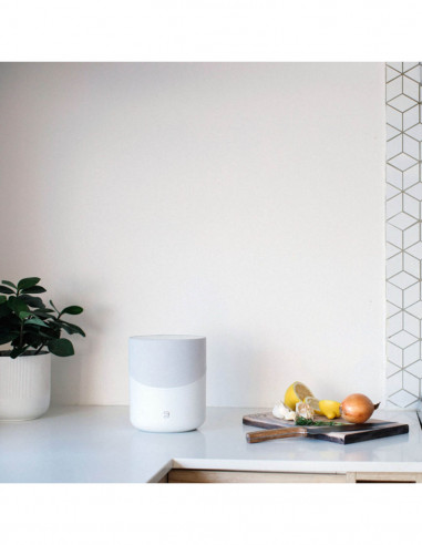 Altavoz inalámbrico multiroom con tecnología de diseño Omni-Hybrid Bluesound Pulse M