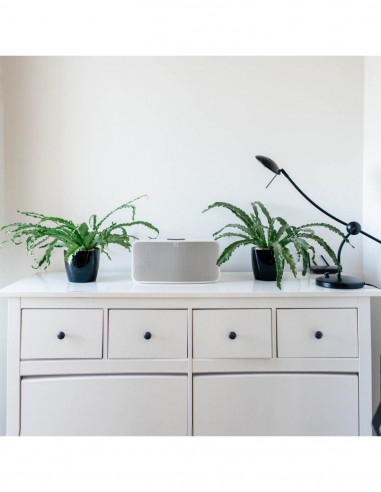 Altavoz amplificado de streaming con capacidad multiroom Bluesound Pulse 2i