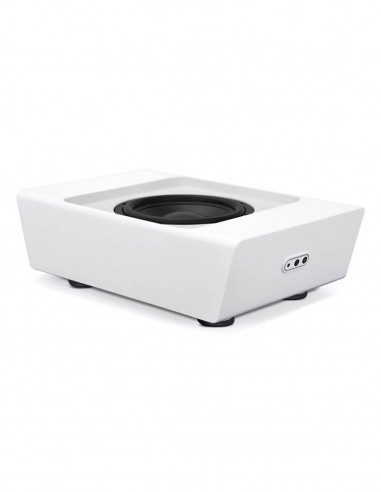 Subwoofer activo Bluesound Pulse Sub+