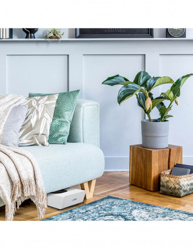 Subwoofer activo Bluesound Pulse Sub+