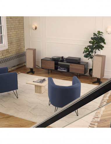 Altavoces con soporte de suelo PSB PASSIF 50