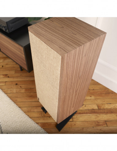 Altavoces con soporte de suelo PSB PASSIF 50