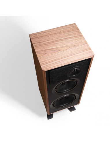 Altavoces con soporte de suelo PSB PASSIF 50