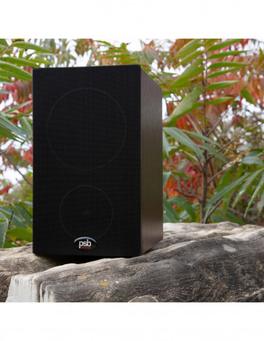 Altavoces de estantería de dos vías PSB Alpha P3