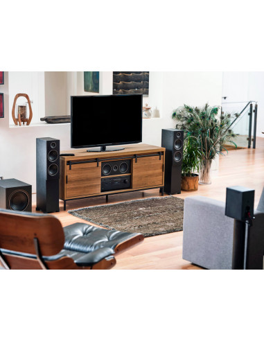 Altavoces de suelo PSB Alpha T20