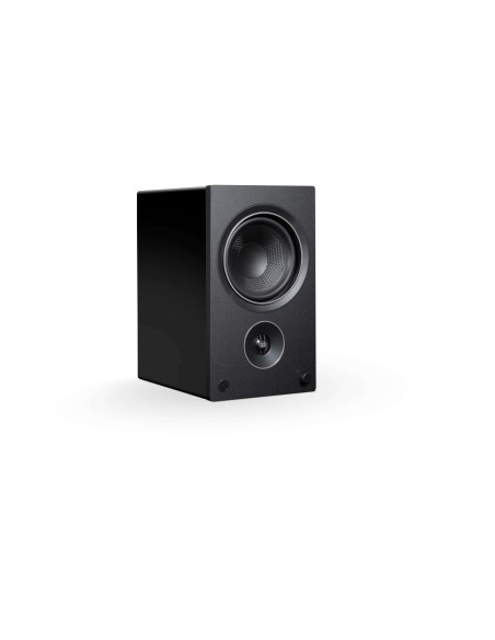 PSB Alpha AM5