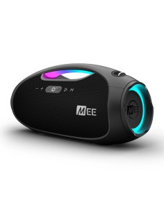 MEE Audio party SPKR 2