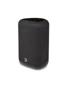 Bluesound PULSE FLEX (P130)
