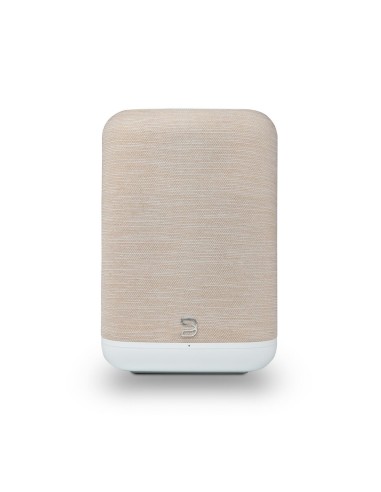 Bluesound PULSE FLEX (P130)