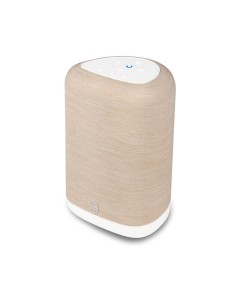 Bluesound PULSE FLEX (P130)