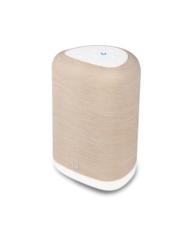 Bluesound PULSE FLEX (P130)