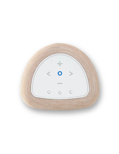 Bluesound PULSE FLEX (P130)