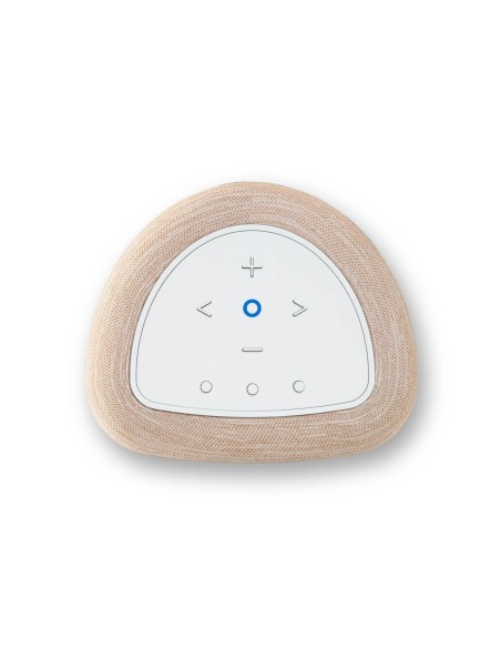 Bluesound PULSE FLEX (P130)